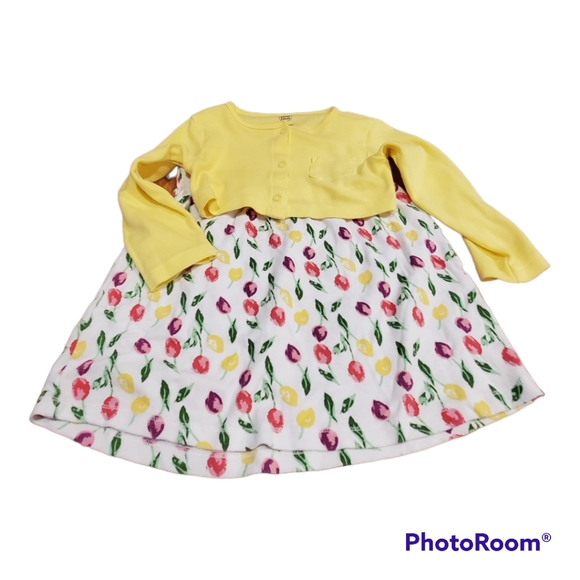 2 Piece Dress & Cardigan size 3T by Luvable Friends - Picture 5 of 12